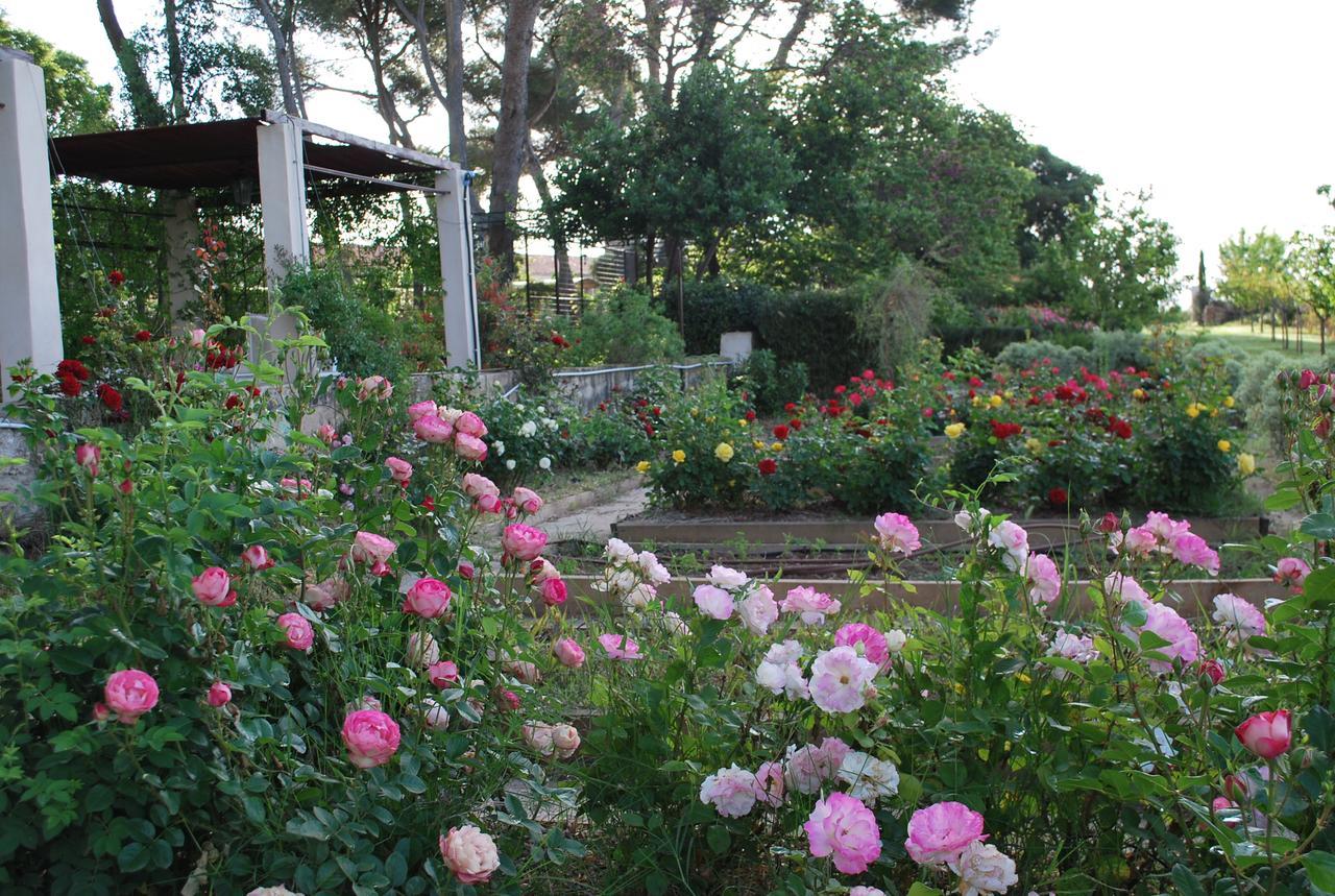 Bed and Breakfast Chateau Sainte Colombe Exterior foto